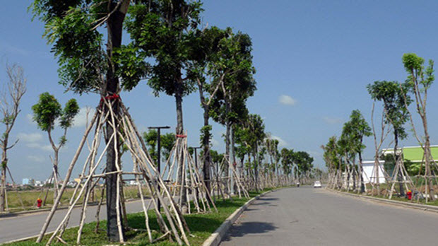  Đất phía Tây Sài Gòn tăng giá gấp đôi